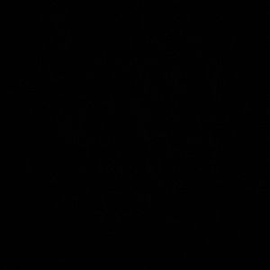 Meet your Posher, Ayah